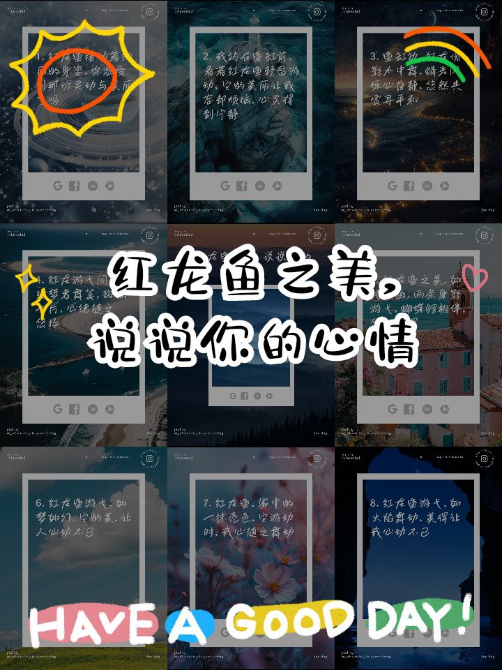 紅龍魚視頻解說文案大全