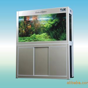 金龍魚用什么硝化細菌最好：養龍魚需要什么過濾器材