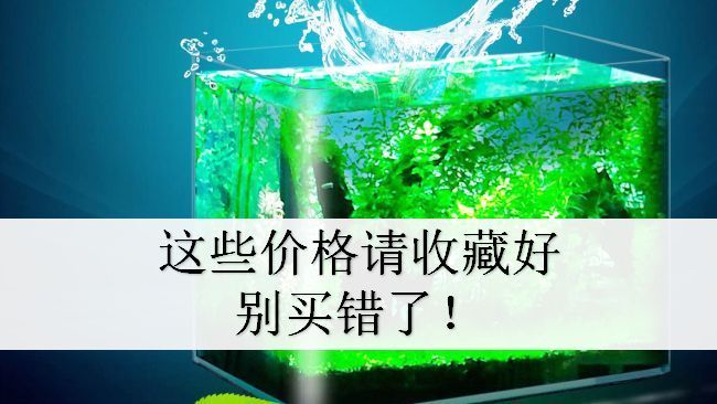 牙克石市深藍(lán)水族花卉館（牙克石水族館電話）