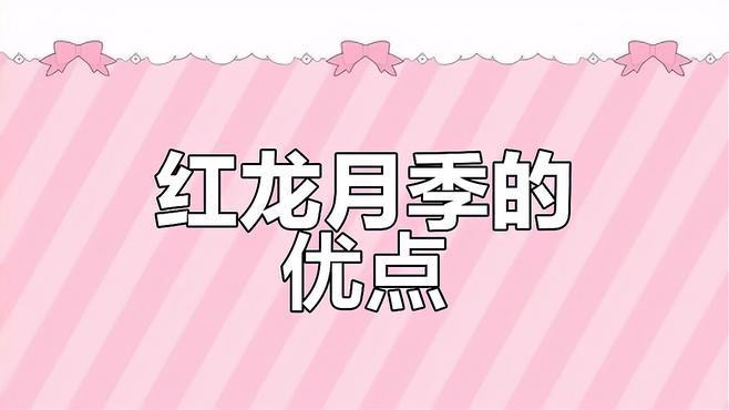 如何為紅龍?jiān)录咎峁┏渥愕年?yáng)光？