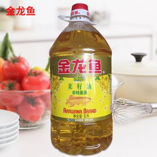 金龍魚水泵流量：汕頭觀賞魚一條街是指哪條街