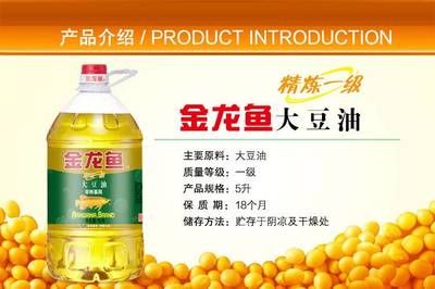金龍魚水泵流量：汕頭觀賞魚一條街是指哪條街