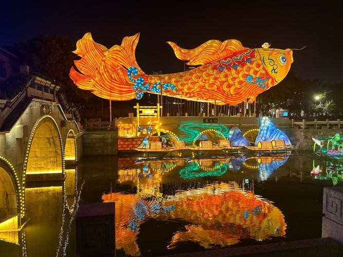 龍魚燈光擺放位置圖片欣賞講解