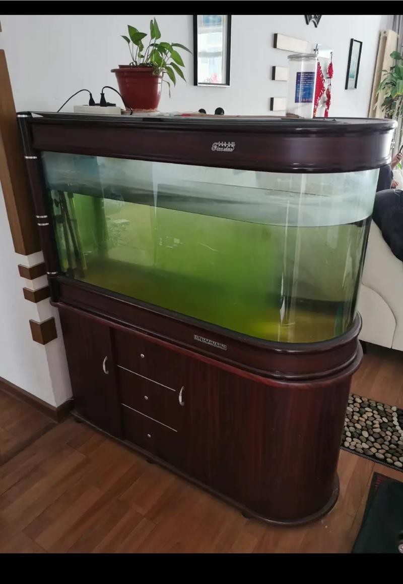 有沒有更多高清龍魚缸壁紙款式