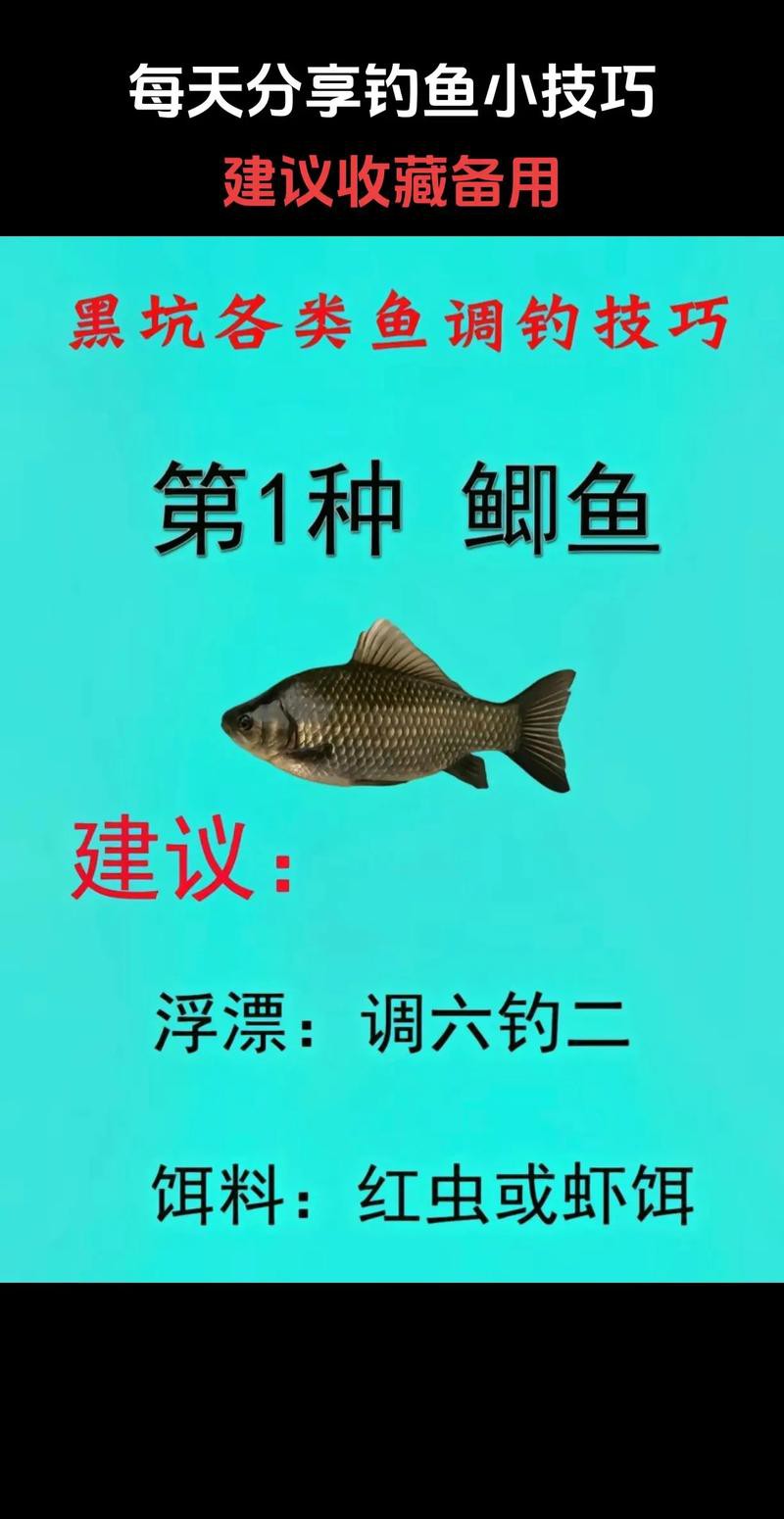 旗艦三代和五代哪個更適合黑坑？