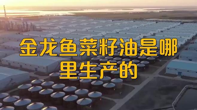 如何通過(guò)官網(wǎng)查詢金龍魚原料溯源信息？