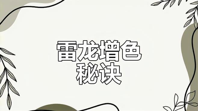 雷龍魚吃什么飼料？
