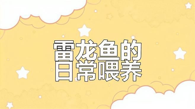 雷龍魚吃什么飼料？