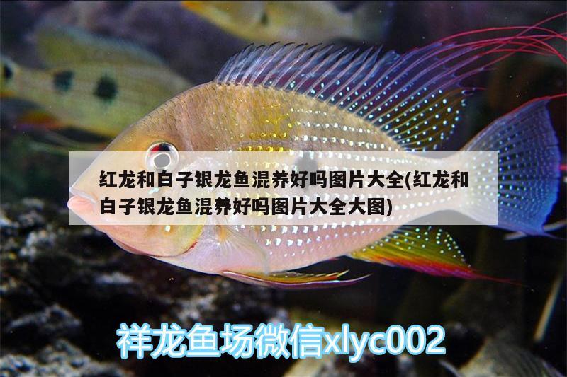 河北昭亮節能科技有限公司（河北昭亮節能科技有限公司怎么樣）