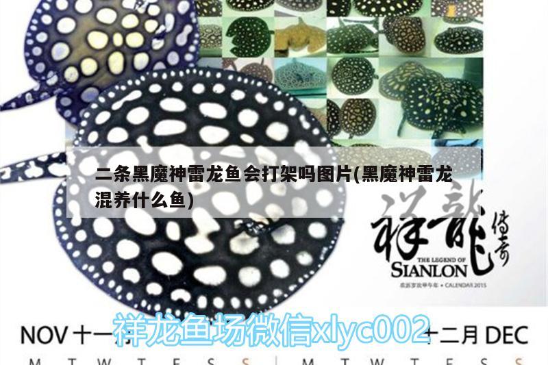 河北昭亮節能科技有限公司（河北昭亮節能科技有限公司怎么樣）