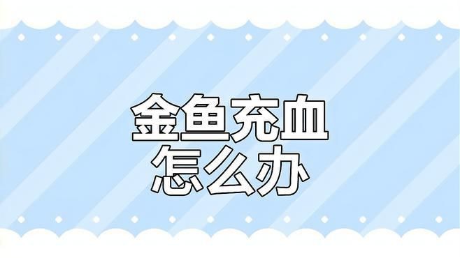 如何預(yù)防金魚鰭充血？