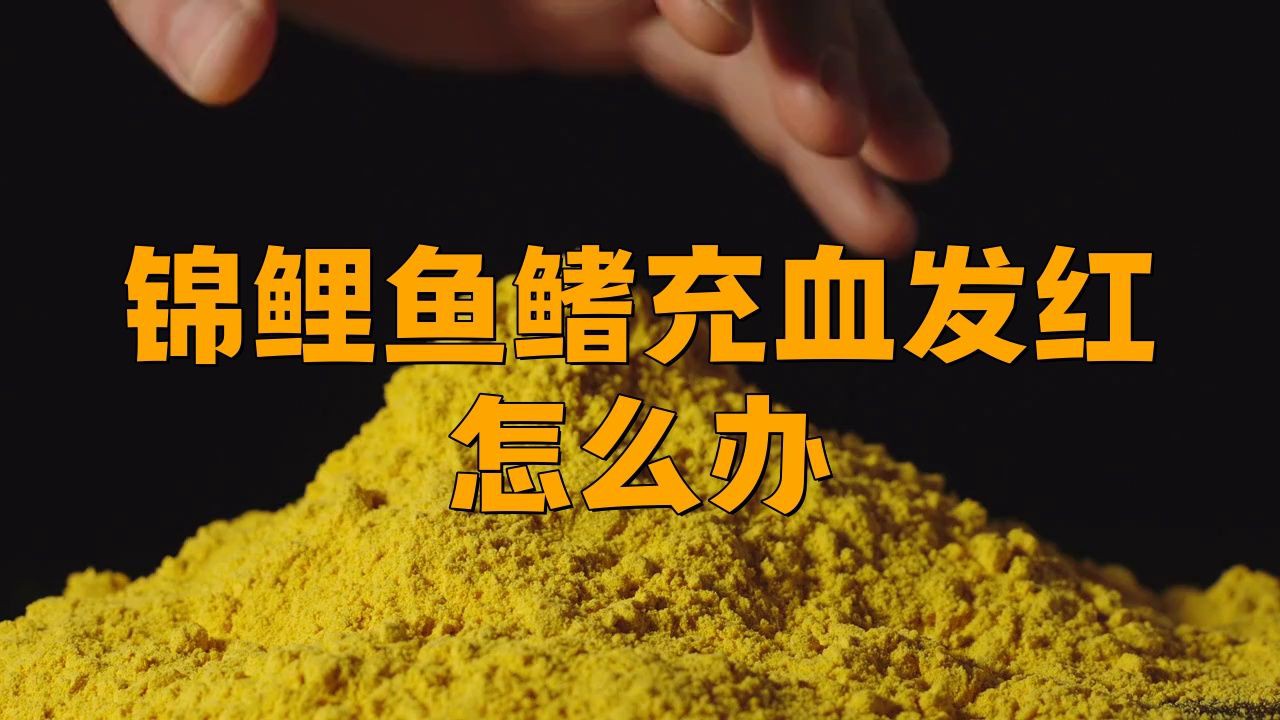 如何預(yù)防金魚鰭充血？