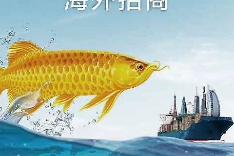 布隆迪六間魚能和龍魚混養嗎（布隆迪六間魚和龍魚是否能混養的直接信息獲取相關信息）