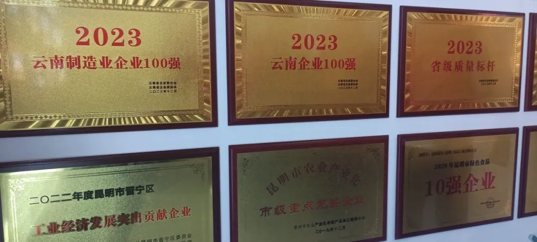昆明金龍魚烹飪班在哪里啊（昆明金龍魚烹飪班） 昆明金龍魚烹飪班在哪里啊（昆明金龍魚烹飪班） 龍魚百科 第4張