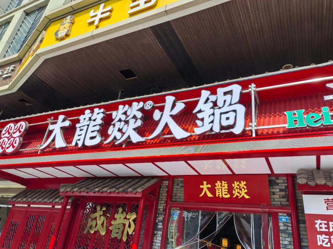 大龍魚圖片高清