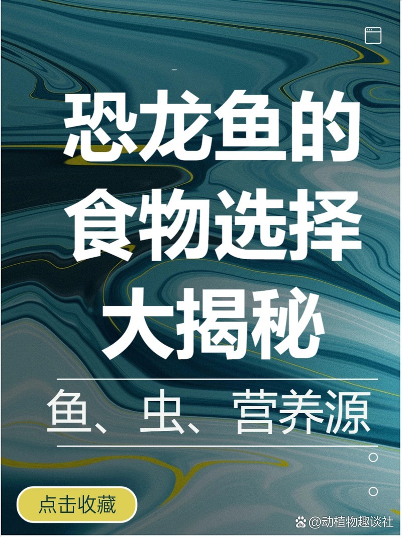 恐龍魚吃魚干嗎怎么喂 恐龍魚吃魚干嗎怎么喂 龍魚百科 第14張