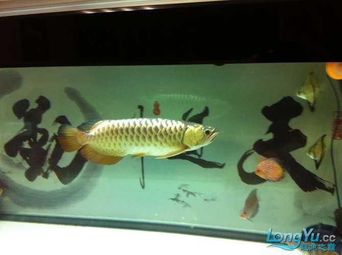 沈陽龍魚漁場在哪個位置