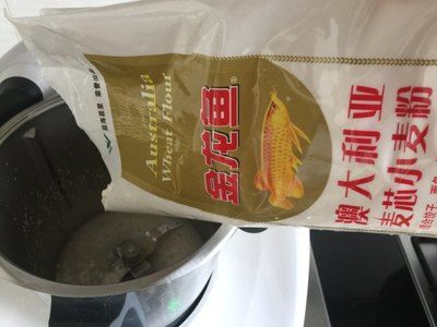 金龍魚幾度要加溫水：金龍魚最適合的水溫是多少