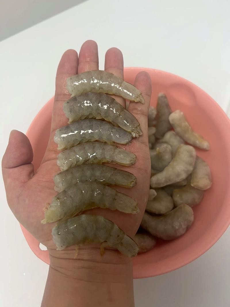 龍魚活食吃什么的