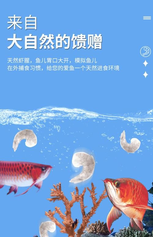 龍魚活食吃什么的