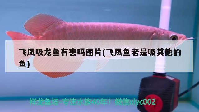 昆明市五華區(qū)佳沁水族店