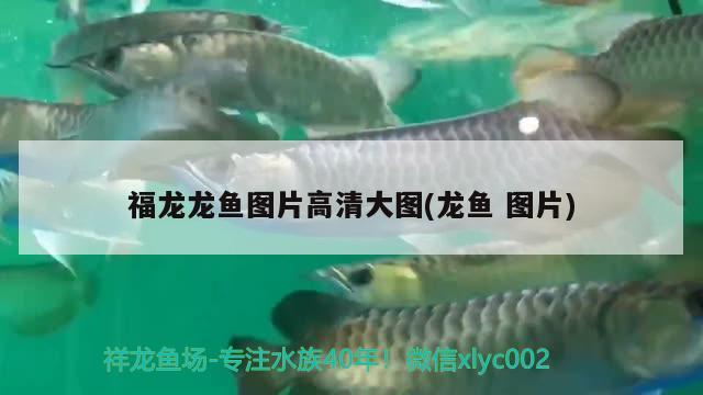 昆明市五華區(qū)佳沁水族店