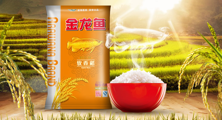 紅龍魚喂養(yǎng)方法視頻大全（紅龍魚喂養(yǎng)方法視頻大全圖解）
