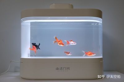 佛山市城區新大新<strong><mark>水族器材</mark></strong>經營部（佛山市城區新大新<strong><mark>水族器材</mark></strong>經營部地址）