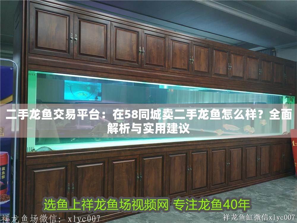 二手龍魚(yú)交易平臺(tái)：在58同城賣(mài)二手龍魚(yú)怎么樣？全面解析與實(shí)用建議