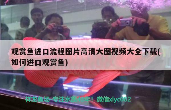 遼陽市白塔區綠之源景觀園藝中心（遼陽市白塔區綠之源景觀園藝中心地址）
