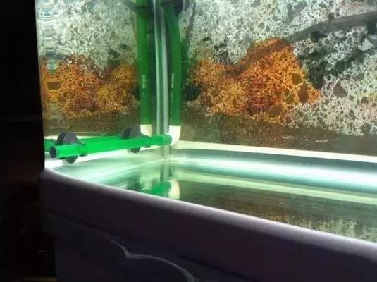 <strong><mark>威海</mark></strong>臨港經(jīng)濟技術(shù)開發(fā)區(qū)魚化龍水族館（魚化龍集團開發(fā)的樓盤）