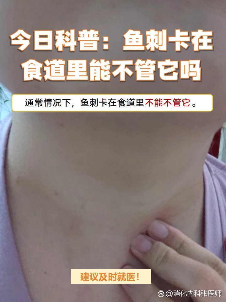 銀龍魚吃魚塊會不會劃傷食道