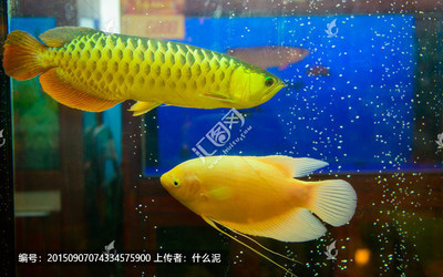 廣州市越秀區陽斌水族店（廣州市越秀區陽斌水族店地址）
