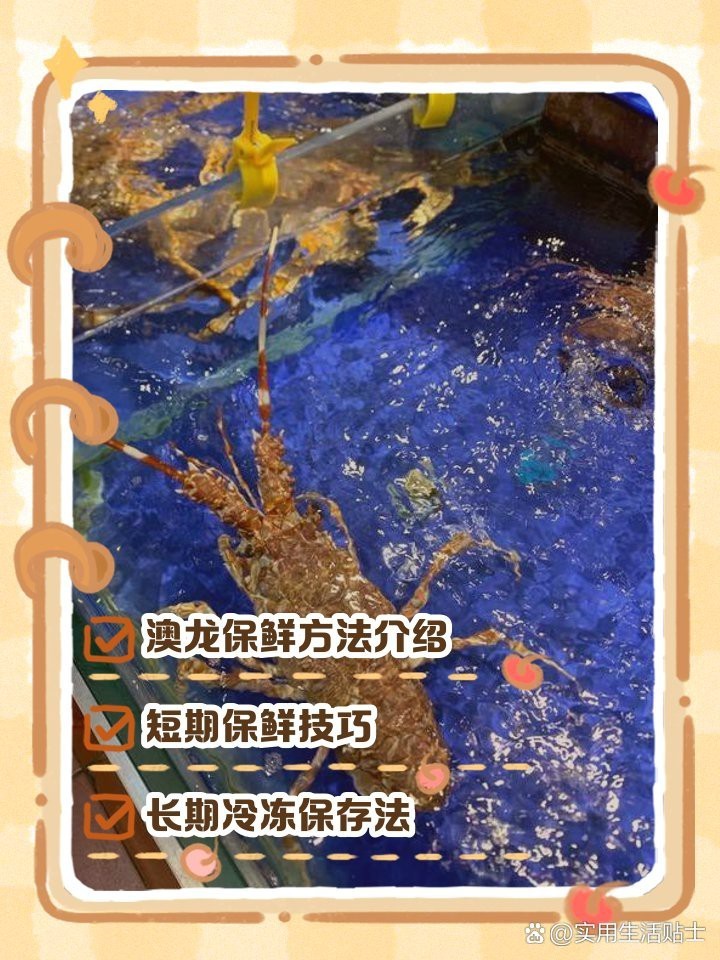 生腌澳龍可以保存多久？