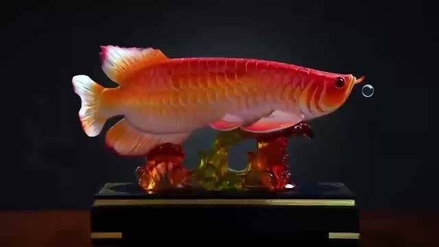 閃耐金龍魚(yú)
