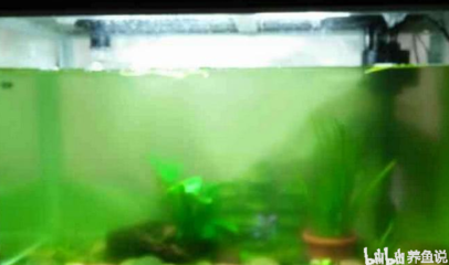 錦州市<strong><mark>松山</mark></strong>新區裕花園苗圃（錦州苗圃電話）