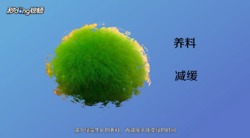 杭州市拱墅區寶英漁具店