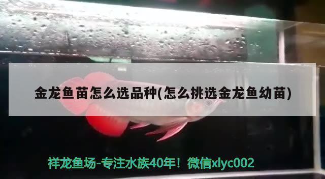 開平市三埠區梁張水族館（開平市三埠區梁張水族館電話）