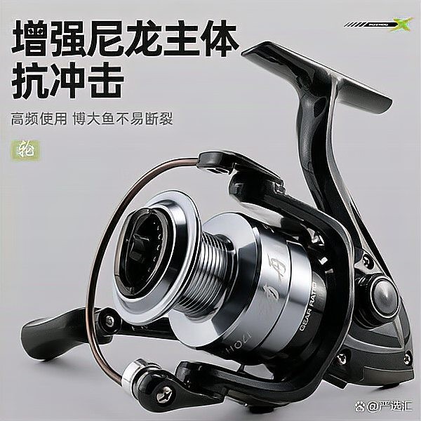 青龍魚線與漢鼎魚線哪個好