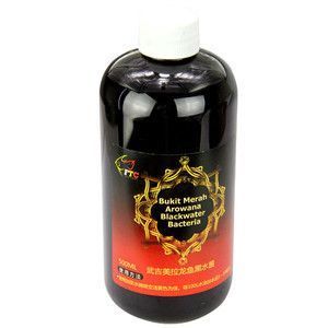 橫縣海魅水族店（橫縣海魅水族店電話號碼）