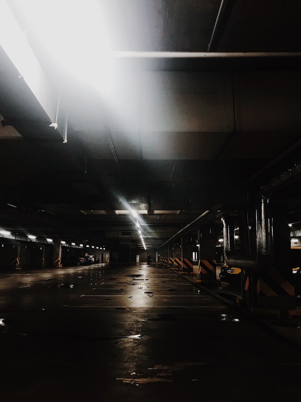 紅色龍魚的投資回報率高嗎？