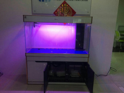 牡丹江市光華花鳥魚批發市場新風帆水族館（牡丹江最大花鳥魚市場）