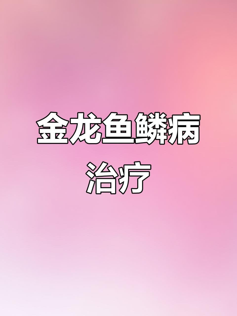 龍魚鱗片感染后如何急救？