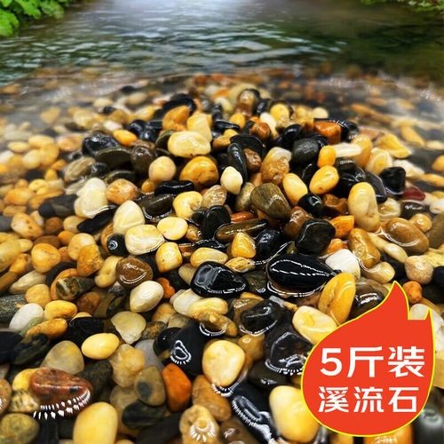 龍魚缸的底砂選擇