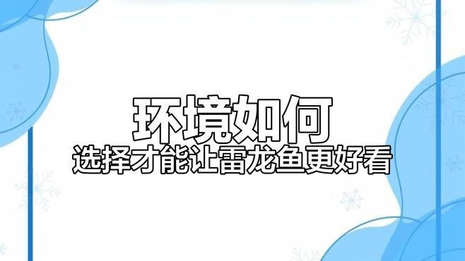 龍魚缸的底砂選擇