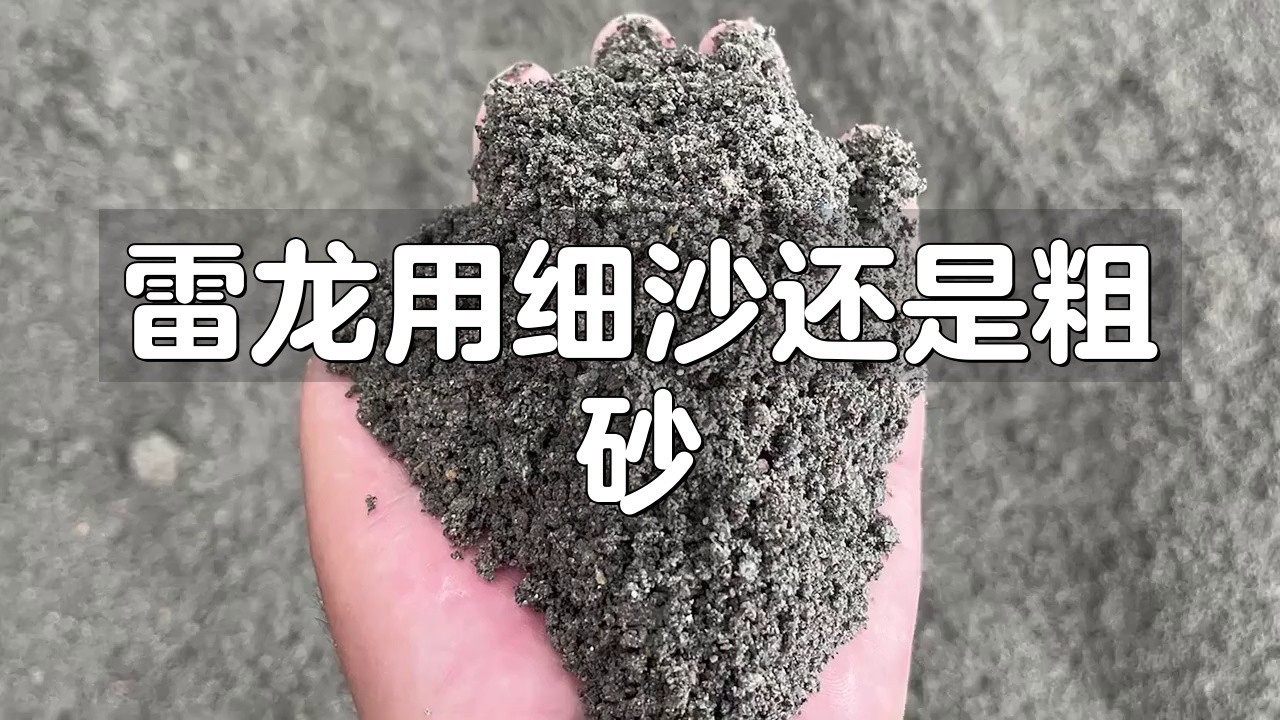 龍魚缸的底砂選擇