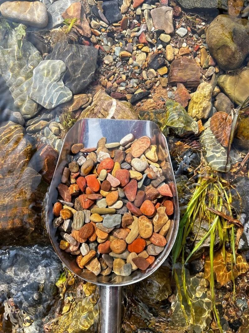 龍魚缸的底砂選擇