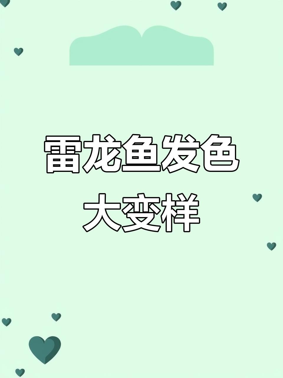 龍魚缸的底砂選擇