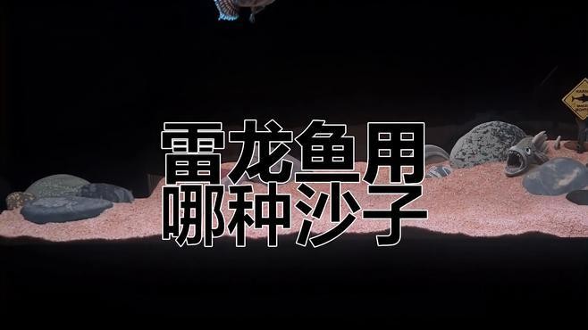 龍魚缸的底砂選擇