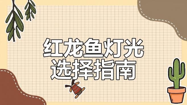 龍魚缸背景圖選擇什么顏色好看 龍魚缸背景圖選擇什么顏色好看 龍魚百科 第1張